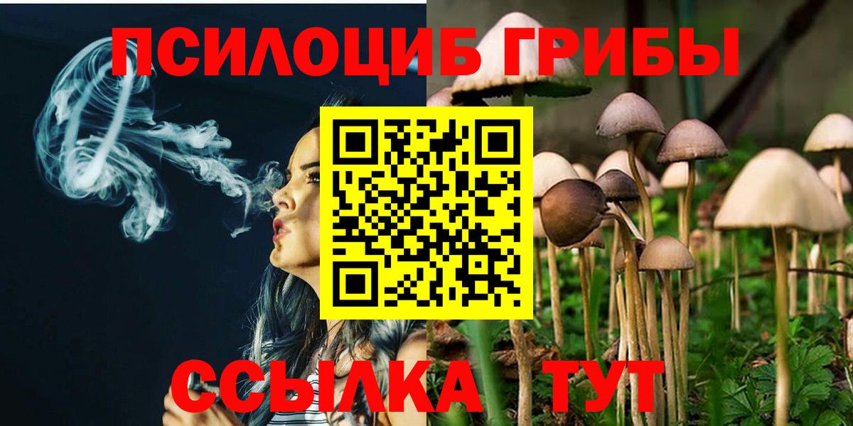 Псилоцибиновые грибы мухоморы  Вход с VPN  Новошахтинск 