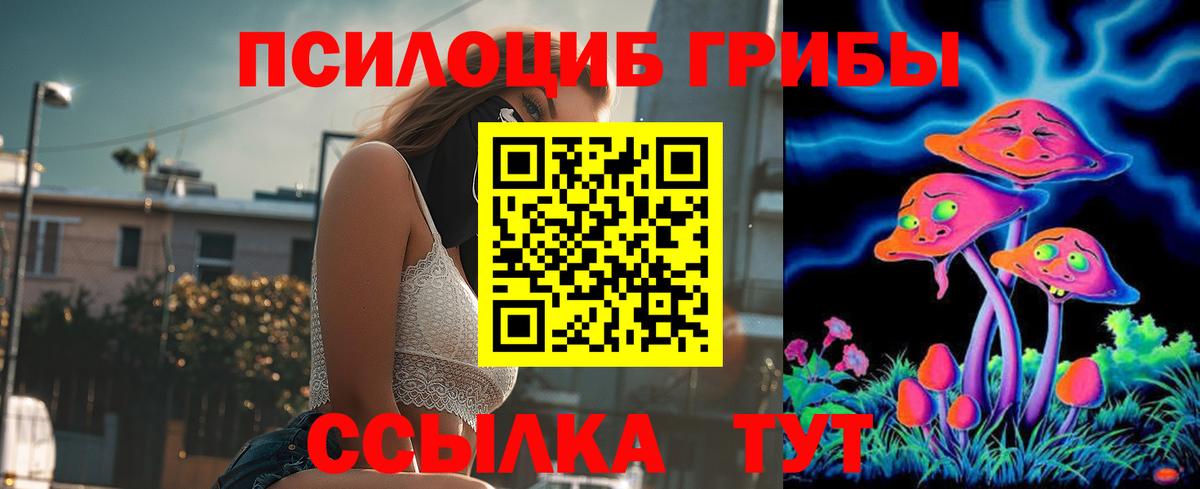 Галлюциногенные грибы мицелий Новошахтинск